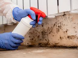 Best Mold Remediation for Healthcare Facilities  in Fort Riley, KS